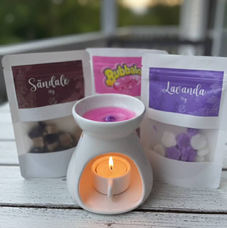 Kit Difusor Richaud+200g de Wax melts+5 velas rechaud